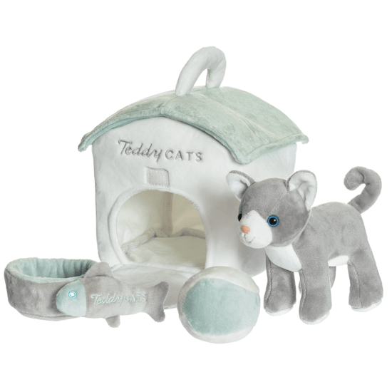 Teddy Cat Speelset - Nieuw!