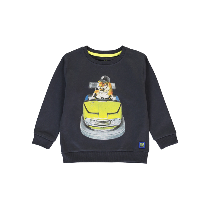 Sweater Tijger