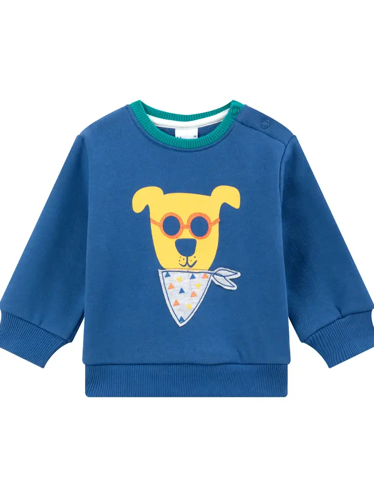 Sweater Cool Doggy