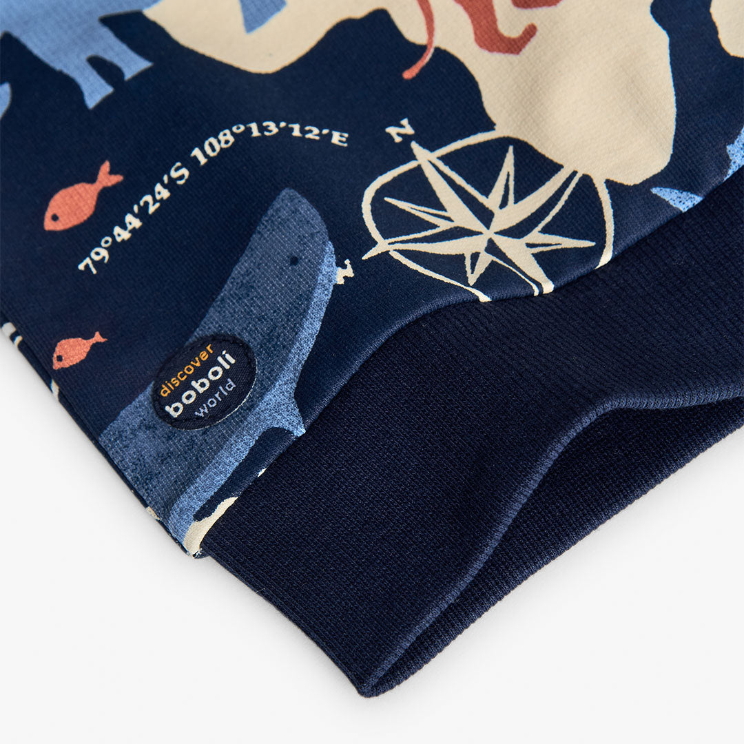 Sweater Arctic - Nieuw!