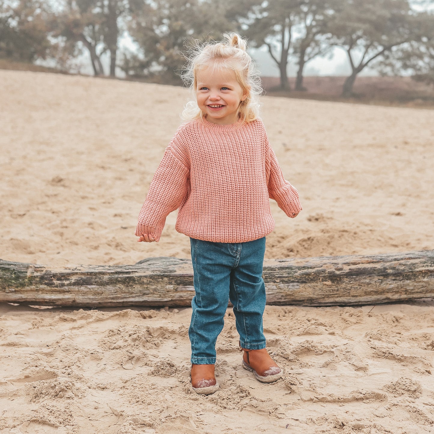 Sweater Rose Dawn - Nieuw!