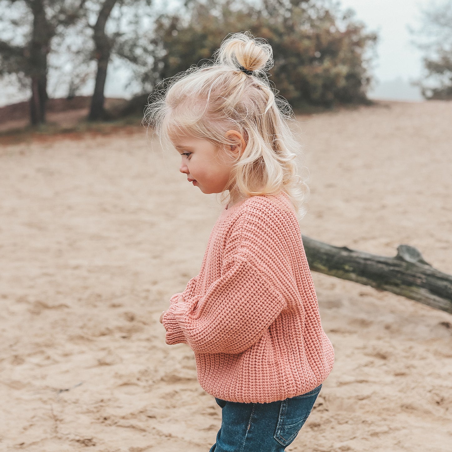 Sweater Rose Dawn - Nieuw!