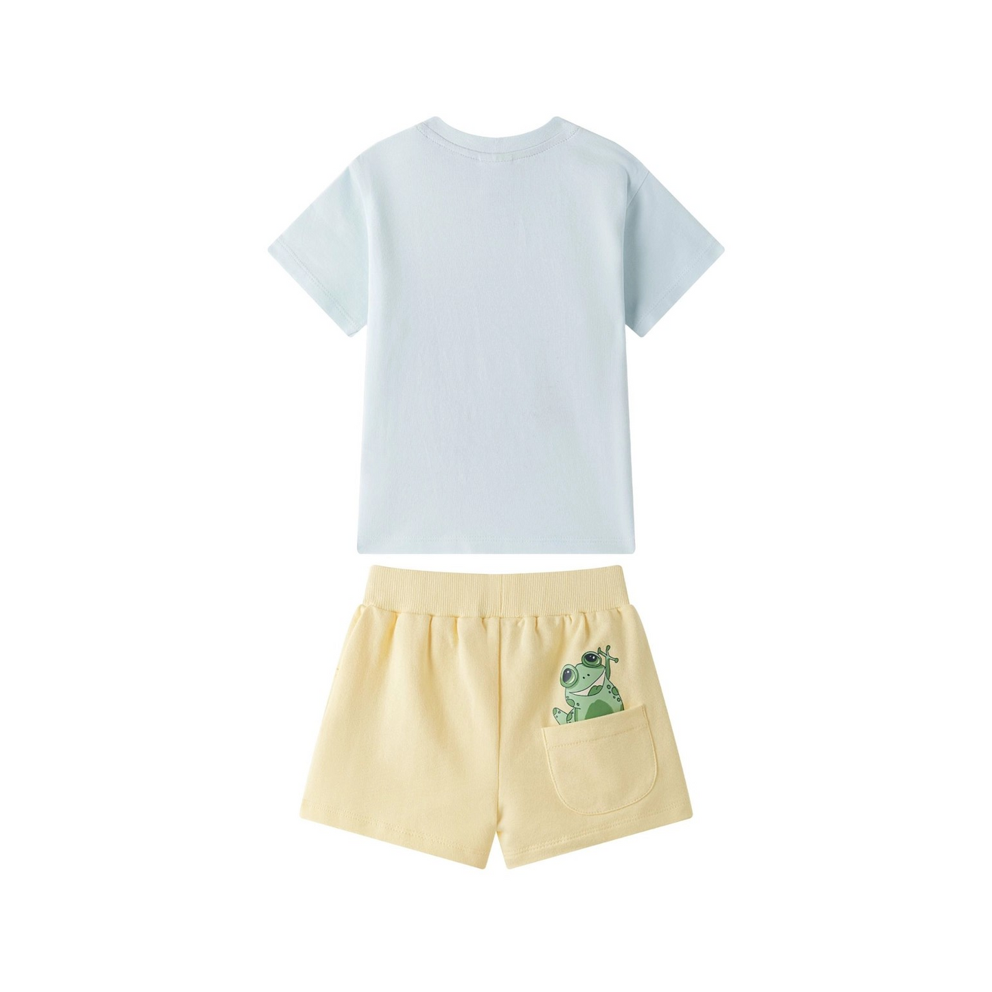 Set Frogs - Nieuw!
