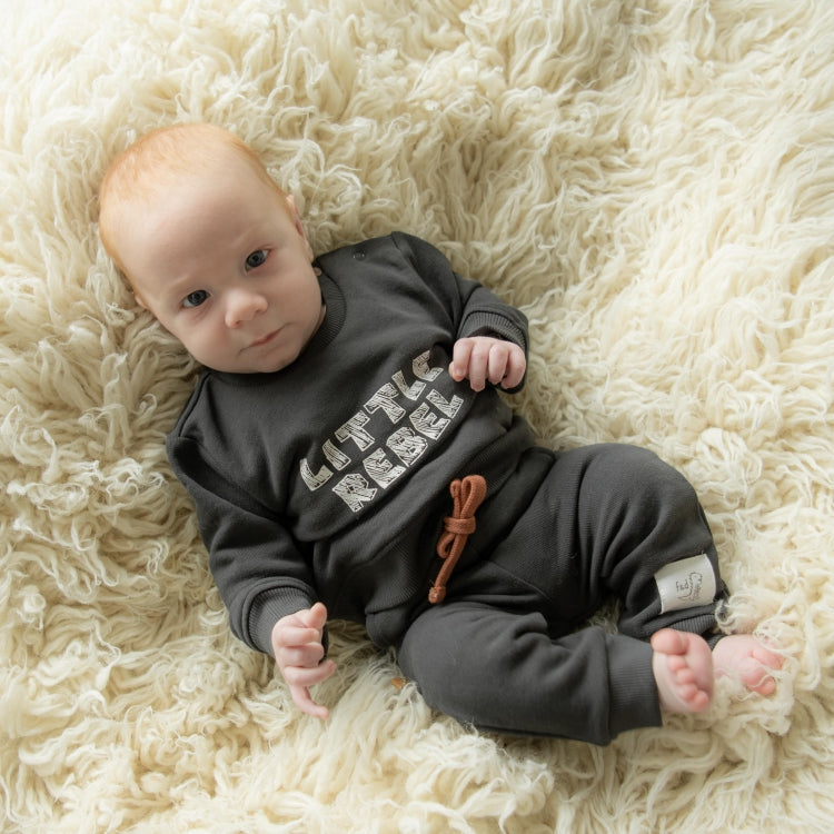 Dino Park Sweater Little Rebel