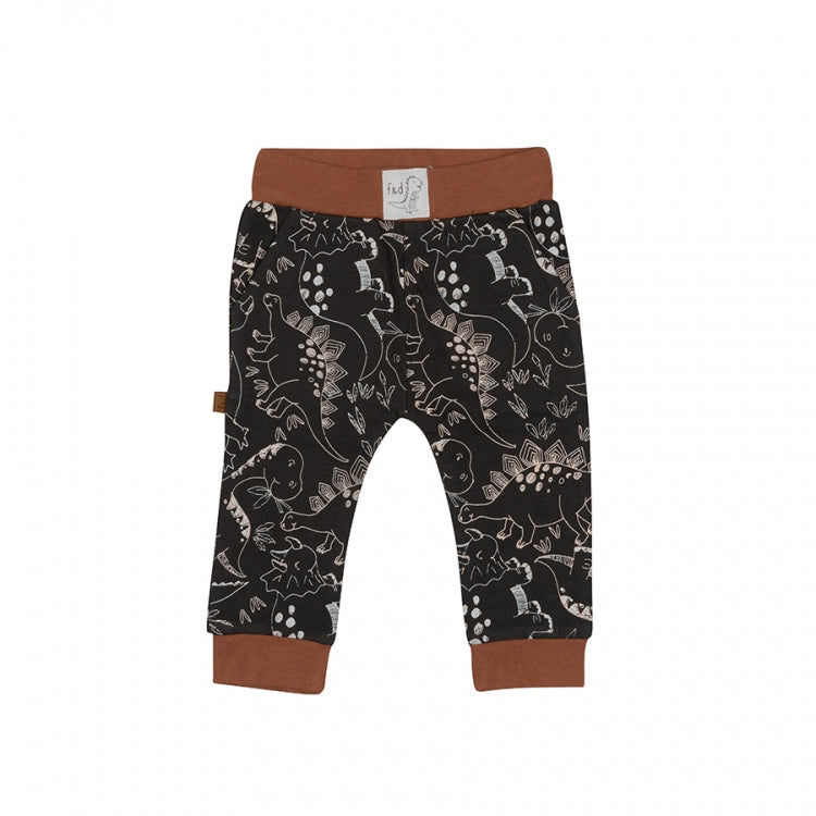 Dino Park Pants AOP
