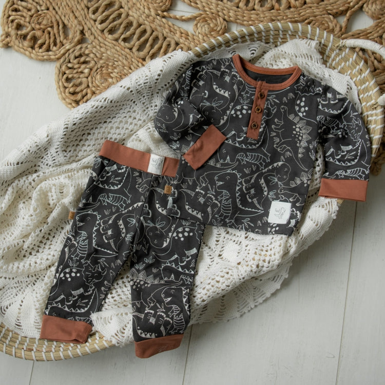Dino Park Pants AOP