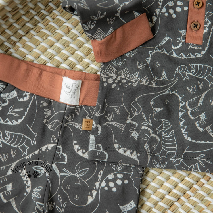 Dino Park Pants AOP