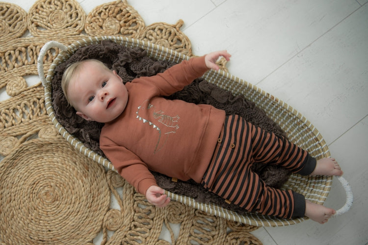 Dino Park Stripes Pants