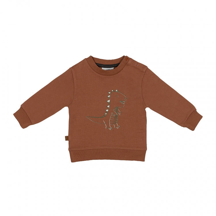 Dino Park Sweater Dinosaur