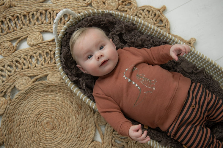 Dino Park Stripes Pants