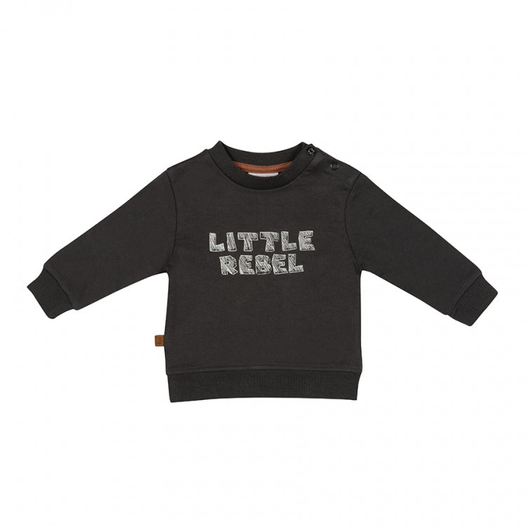 Dino Park Sweater Little Rebel
