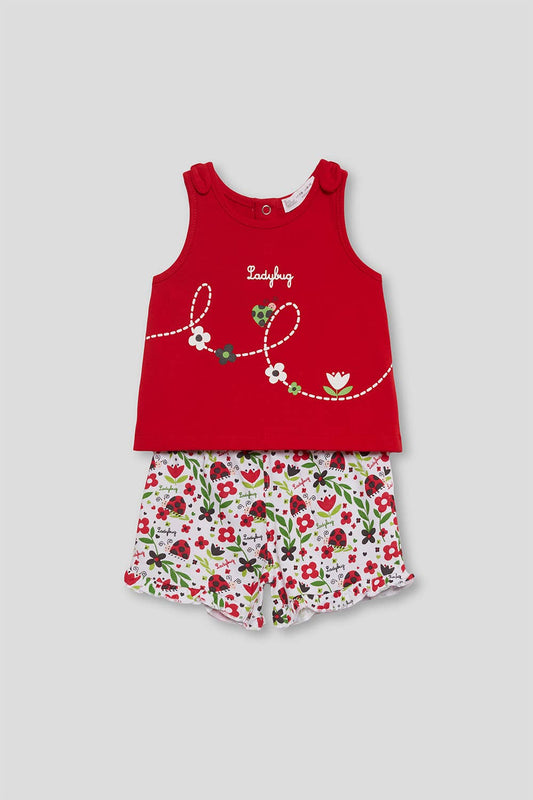 Set Ladybug - Nieuw!