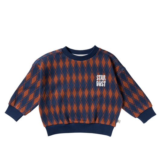 Sweater Checker - Nieuw!