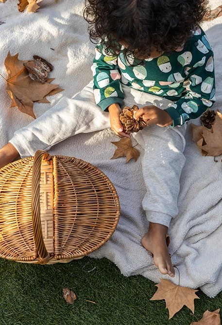 Set Fall Acorns - Nieuw!